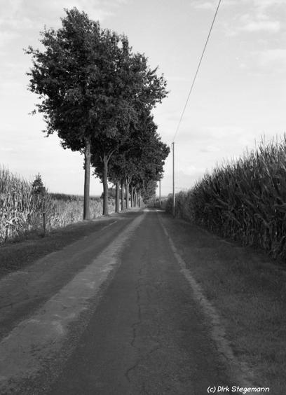 Das Münsterland auf Film in Schwarz und Weiss