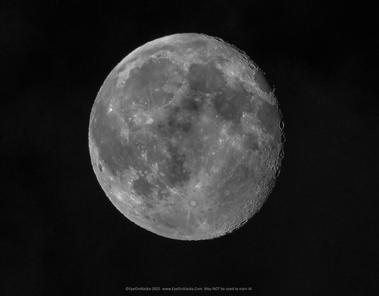 A full frame black and white shot of the almost full moon