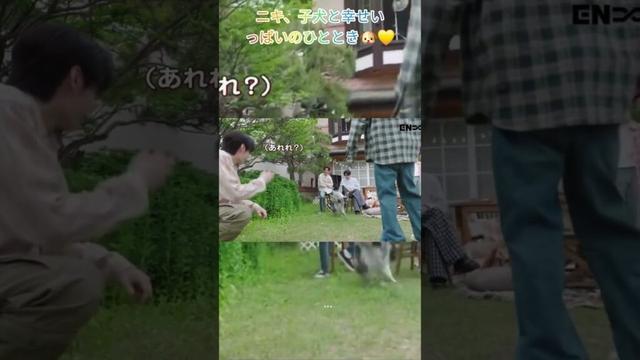 ニキ、子犬と幸せいっぱいのひととき🐶💛 #enhypen #engene #kpop #japan #korean #japannews #niki #ni_ki