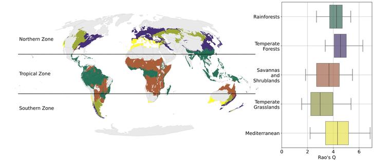 Weltkarte mit Klimazonen, darunter die nördliche Zone, tropische Zone und südliche Zone. Neben der Karte ein Diagramm mit Boxplots für verschiedene Biome wie Regenwald oder mediterrane Regionen.