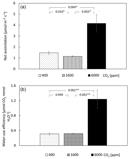 Net assimilation is mildly changed at 1600 ppm CO2 and increases at 6000 ppm, driving a major increase in water-use efficiency. Bar heights are means of 10 guava saplings subjected to different CO2 concentrations. Error bars represent standard errors. P values are from paired t tests, and * and ** indicate differences among CO2 levels at 0.01 and 0.001 significance levels. (a) Net assimilation was calculated from chamber CO2 dynamics. (b) Water-use efficiency was calculated as net assimilation divided by transpiration.