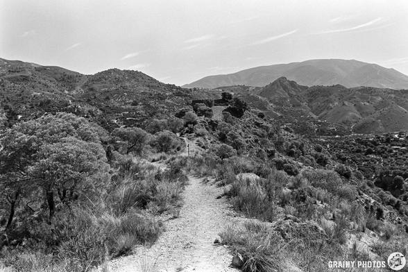 A dirt path winds through dry, rocky hills with scattered bushes and trees, leading towards distant mountains under a hazy sky. The scene is in black and white.