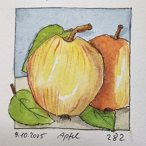 Aquarellskizze: 2 Äpfel und drei verteilt liegende grüne Apfelblätter. Die glänzenden Äpfel sind rotgelb.
