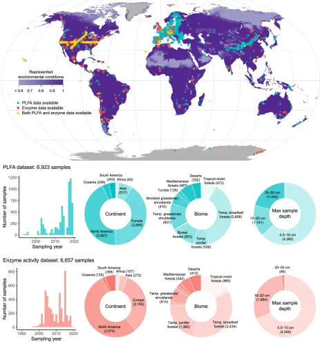Figure 1 in Van Galen et al. (2025): "The PLFA and enzyme activity database contains 12,258 samples from 3,743 locations. The purple colour gradient shows the degree to which climatic space is represented by the samples (scale of 0 to 1, see Technical Validation section). Grey regions do not have sufficient climate data available to evaluate climatic representation. The histogram and donut plots show number of samples (in parentheses) from the PLFA (blue) and enzyme (red) datasets collected in different years, from different continents, from different biomes43, and within different categories of maximum sample depth. Only large segments of donut plots are labelled. Temp. = temperate."