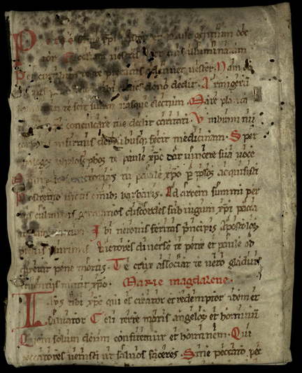 the parchment binding of the book: a medieval page