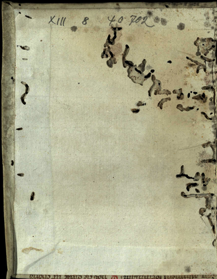 tunnels and small holes in a paper page and the parchment binding. These tunnels are caused by insect larvae - "book worms".
