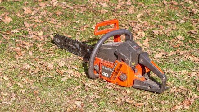 Wer im Herbst Hecken- oder Bäume zurückschneiden möchte, muss sich an einige Regeln halten. Die Untere Naturschutzbehörde Lüchow-Dannenberg informiert über gesetzliche Vorgaben und mögliche Konsequenzen bei Fehlverhalten.