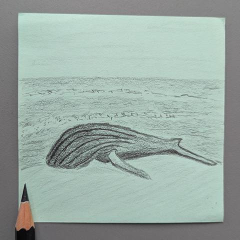 A stranded whale