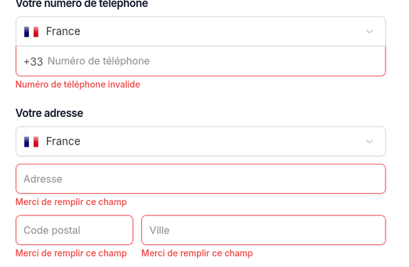 Capture d'écran d'un formulaire avec des champs adresse et téléphone obligatoires