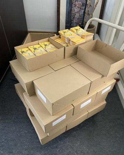 Im Raum stehen viele Karton-Schachteln gestapelt auf einen Rollwagen, in denen 100er Bündel von gelben Bürgerbegehren-Flyer drin sind.