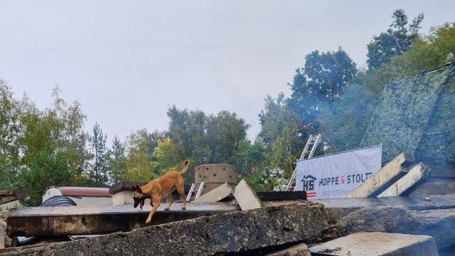 Deutsche Meisterschaft für Spezialhunde: Wettkampf auf dem Trainingsgelände der Rettungshundestaffel Elbtalaue bei Karwitz