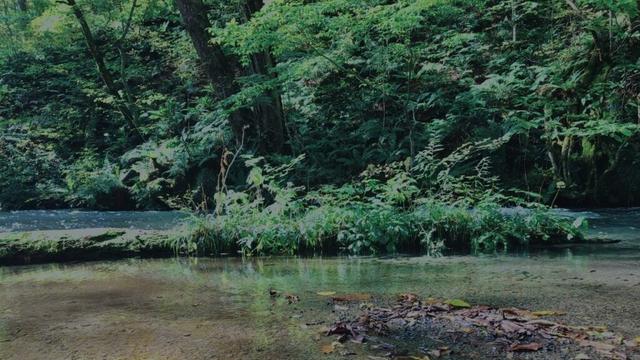 青森県十和田市相坂高清水ライブカメラ　Aomori Towada Live Camera.world.cam