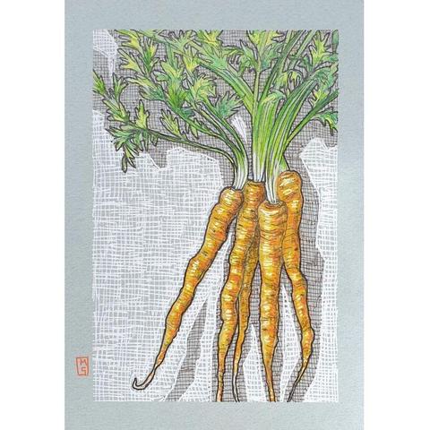 A small original drawing of a bunch of slender orange carrots with the stems and leaves still attached. The artwork has a background of crosshatched marks in white and brown. The drawing is on grey toned pastel paper.
An original art work, please note that the frame is not included.
Colour pencil and mixed media on acid free toned artist paper
5 by 7 inches (12.7 by 17.8 cm).