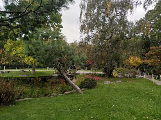 View of the Kyoto garden pond with trees and shrubs in autumn colours