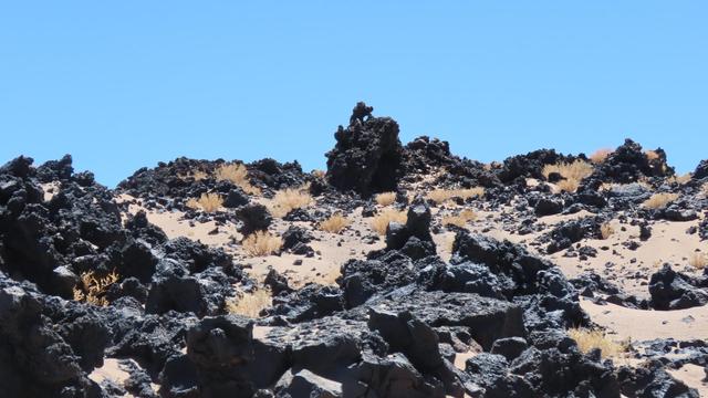 Im Lavafeld. Karger Bewuchs, absolute Ruhe und wunderschön.