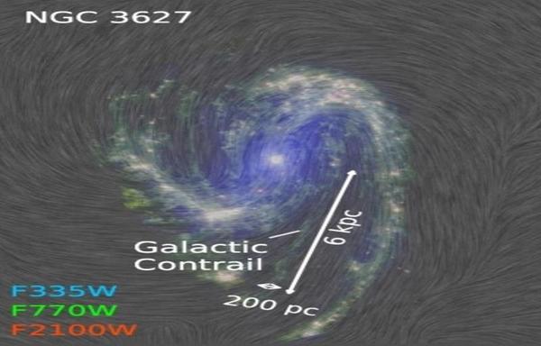 A diagram showing the galaxy NGC 3627 with a its contrail outlined