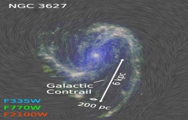 A diagram showing the galaxy NGC 3627 with a its contrail outlined