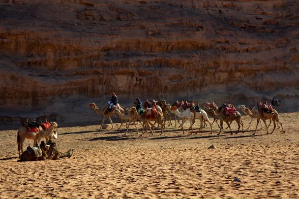 Camel caravana on the desert