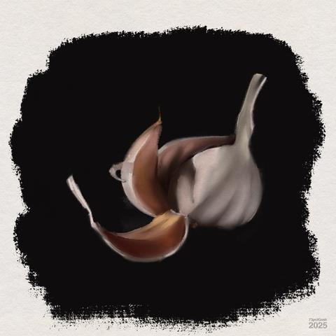 Digital oil study of a garlic bulb with a few separated cloves, against a deep black background. The light softly highlights the white body and the reddish-brown skins of the cloves, creating a realistic and dramatic effect. The edges of the black area are irregular, resembling brush strokes.