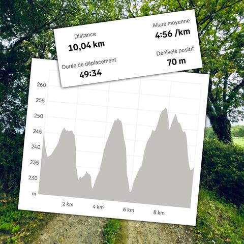 Les stats du jour, avec un faible dénivelé pour les dix kilomètres effectués en 49 minutes et 34 secondes.