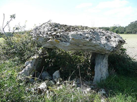 Dolmen dit Pierre couverte de la planche à #NoyantVillages (#MaineEtLoire) Dolmen dit Pierre couverte de la planche (cad. C 18) : inscription par arrêté du 17 juin 1983.
Suite 👉 https://monumentum.fr/monument-historique/pa00109000/noyant-villages-dolmen-dit-pierre-couverte-de-la-planche
#Patrimoine #MonumentHistorique
Photo CC-BY-SA 4.0 : Kormin