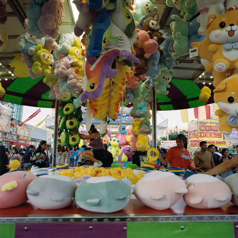 I think you’re supposed to throw a ring on a rubber duck.