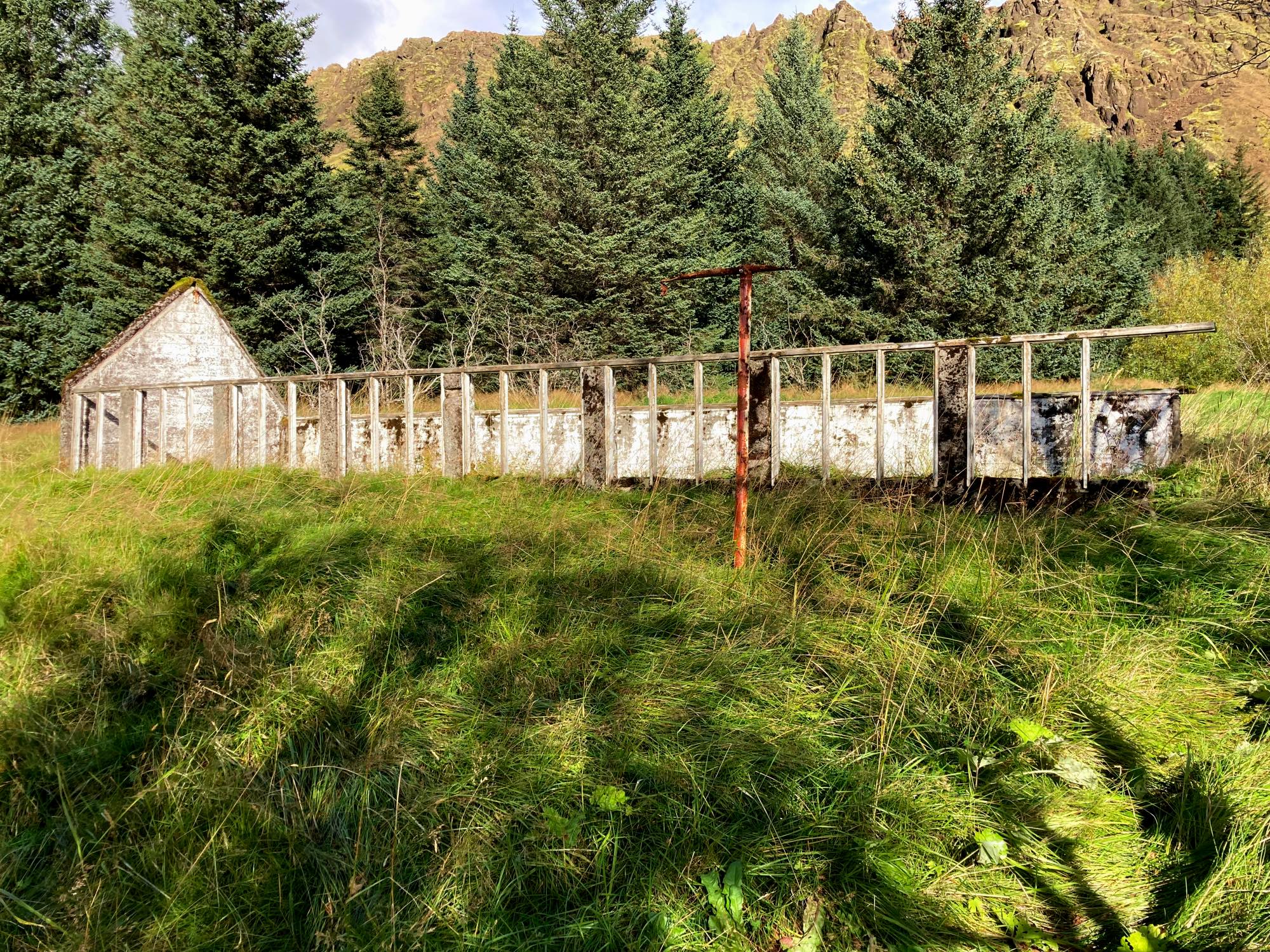 What is left of an old greenhouse surrounded by trees.