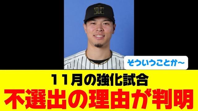 【佐藤輝明】 11月の侍ジャパンに選出されなかった理由が判明！！ WBCには期待。
