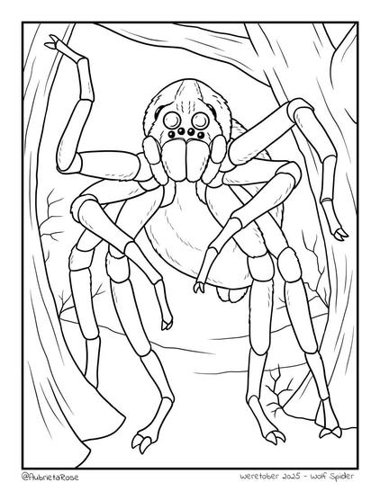 Line art illustration of a very animalistic anthro wolf spider scuttling out from between a pair of twisty trees.