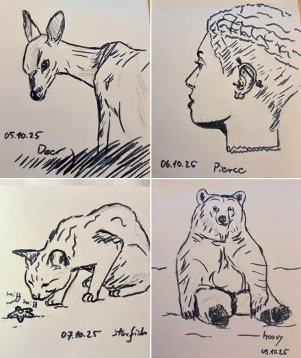 4 drawings with black liner (and pencil lines underneath), based on the Inktober prompts: deer, piercing, starfish, and heavy.
The first drawing is of a young deer in tall grass, the second of a persons head from the side with a large industrial piercing, the third of a curious cat sniffing on a little starfisch and the last of a big bear sitting like a person.