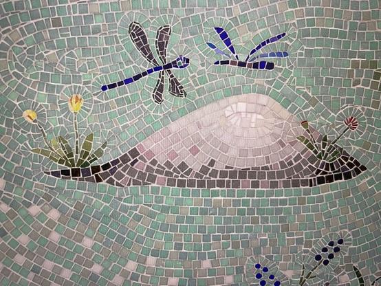 Aquatic habitat, mosaic, EU