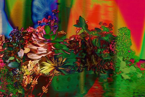 A medium close-up of over flowing succulents in a planter has been blended with a photo of a plastic deck chair. The resulting composition creates the impression that the plants are emerging out of an abstract rainbow of psychedelic colours.  It has an intense 6os vibe.