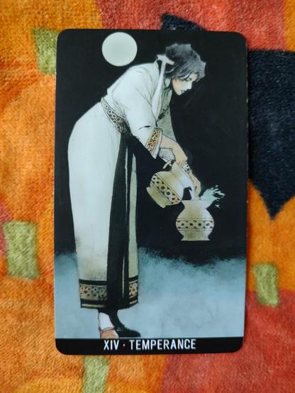 Card from the Joker Tarot deck.
Temperance-XIV.
A woman leans forward a bit pouring water (likely water) from one pitcher to another.