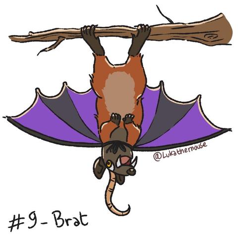 Drawing of a rat upside down, holding themselves on a branch with their feet like a bat. They have an orange belly and brown limbs and head, pointy teeth and they are wearing purple bat wings like a large cape secure with a thread around their neck.