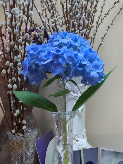 A vividly blue hydrangea blossom head in a vase. Behind it are two other vases which both hold pussywillow branches.