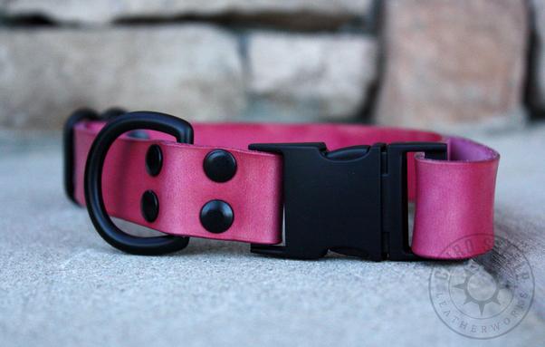 The pink collar
