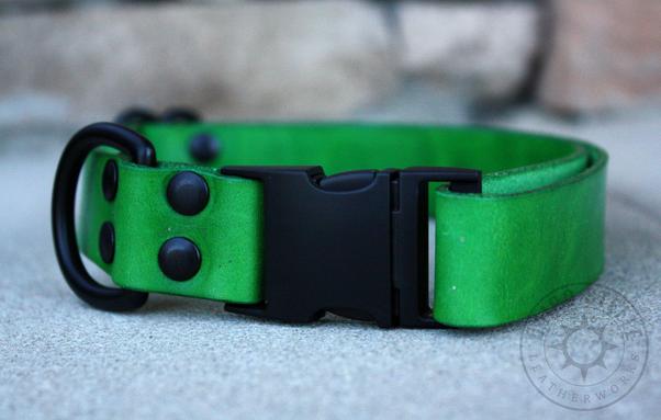 The green collar