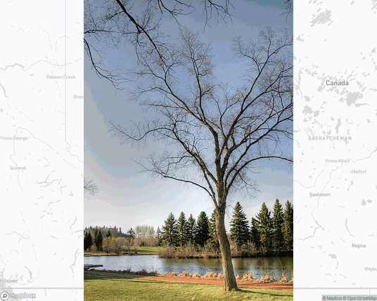 A photo of or from a park from the linked website, overlaid on a cropped world map where it's located.