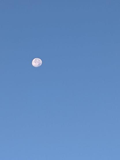 Filter free shot of an October 2025 moon in Fort Collins Colorado taken with a Pixel 8.