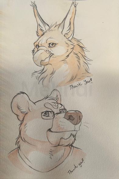 A couple of sketch head busts, the top is a gryphon with very long lynx like ears. The bottom sketch is of a black bear anthro with a goatee and glasses.