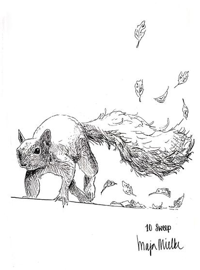 Pen and ink drawing of a squirrel running over a surface with autumn leaves. Some of the leaves are flying up behind the bushy tail.