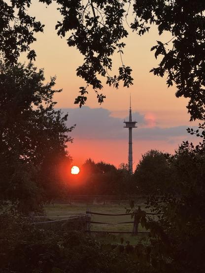 A sunset is framed by trees, with a communication tower visible in the background. The sky displays shades of orange and pink as the sun sets on a green field, bordered by a wooden fence.
moerser funkturm