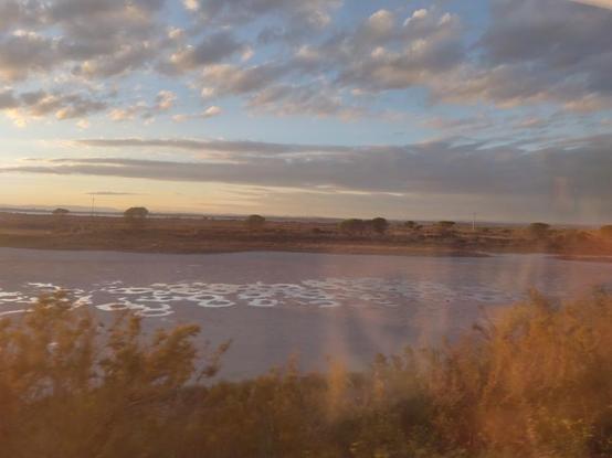 Marais et lande au coucher du soleil, avec des bancs de nuages éclairés par le soleil bas. Au premier plan végétation floue et reflets dans la vitre.