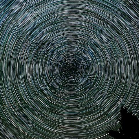 A star trail photograph showing circular patterns created by star movements around a central point, with a silhouette of a tree in the foreground.