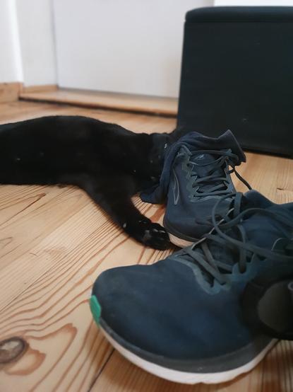 a close view pix of my running shoes, with black cat spread on floorboard, snuggling them (and my smelly sox...)