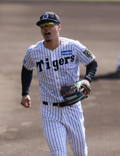 ノックを受ける阪神佐藤輝（撮影・藤尾明華）