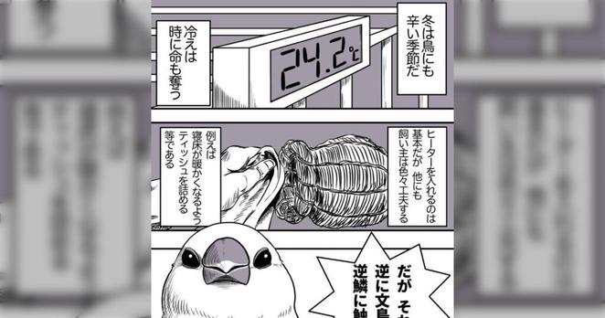 「その気遣いが逆に文鳥の逆鱗に触れた」鳥飼いにしかわからない静かにキレてる文鳥の漫画に共感が集まる「文鳥の逆鱗多くない？」とツッコミも - Togetter