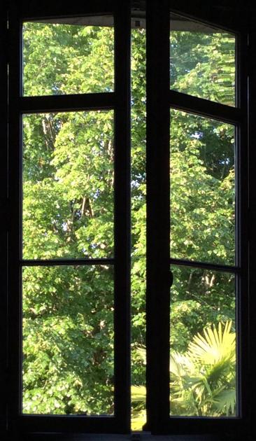 Fenêtre entr’ouverte à contre jour. tout l’intérieur est très sombre. Dehors vert et ensoleillé, partout le vert des artères en été le ciel n’apparaît même pas.