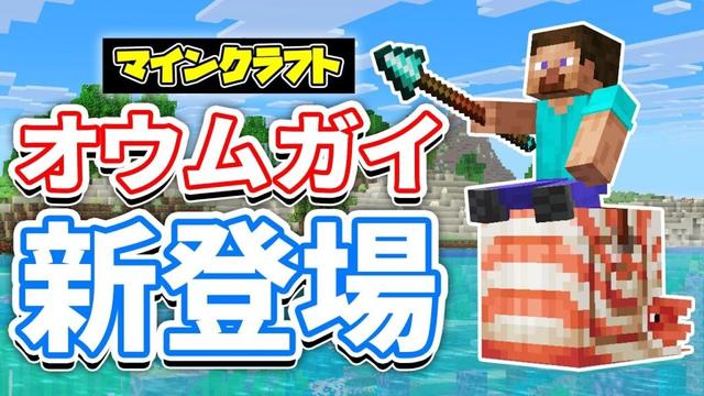 【マイクラ】オウムガイが新登場!水中で高速移動!槍・ゾンビホース・オウムガイの鎧が追加!気になる検証など詳しく解説!【マインクラフト】SNAPSHOT 25W41A 最新アップデート情報