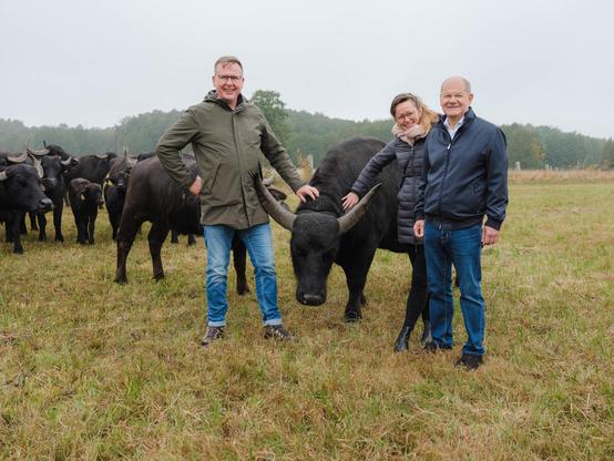 Besuch des MdB Olaf Scholz und der brandenburgischen Landwirtschaftsministerin Hanka Mittelstädt  (MWFK) beim Projekt für kooperativen Agrarumweltschutz KOMBI am 7. Oktober 2025 in Werder / Havel.

(c) Alexander Paul Brandes/ NABU